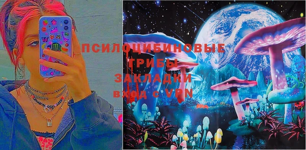 Альфа ПВП Лиски