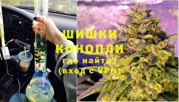 индика Липки